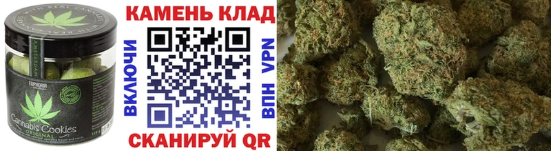 купить наркотики цена  Сальск  Canna-Cookies конопля 
