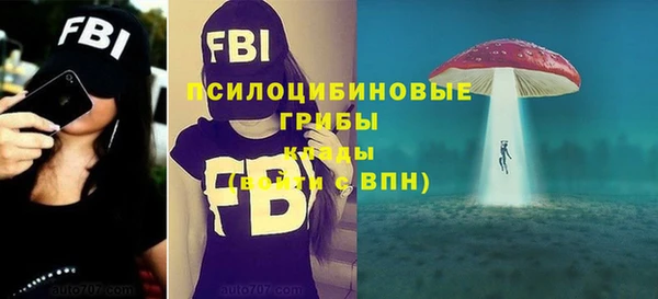 шишки Абдулино