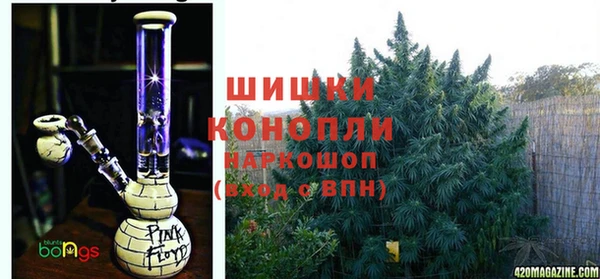 ECSTASY Абаза