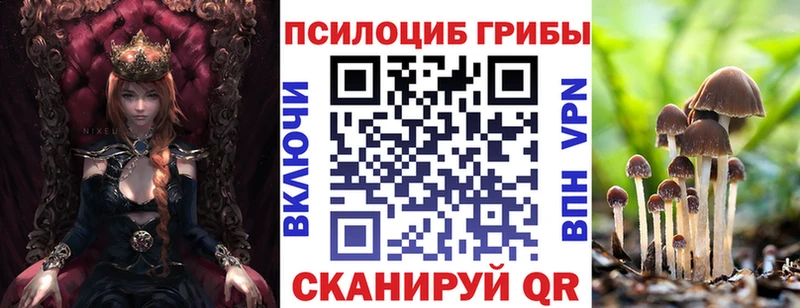 Галлюциногенные грибы прущие грибы Сальск